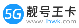 靓号王卡LOGO_白天.png